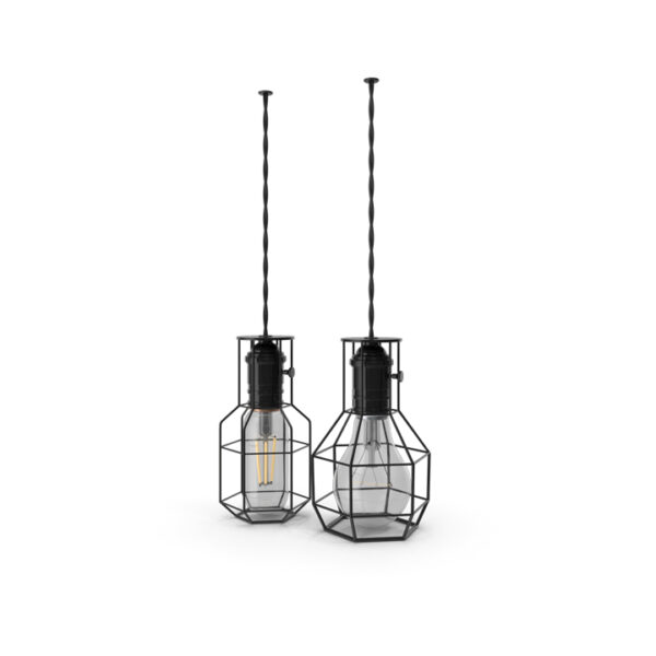 Double Industrial Lamp